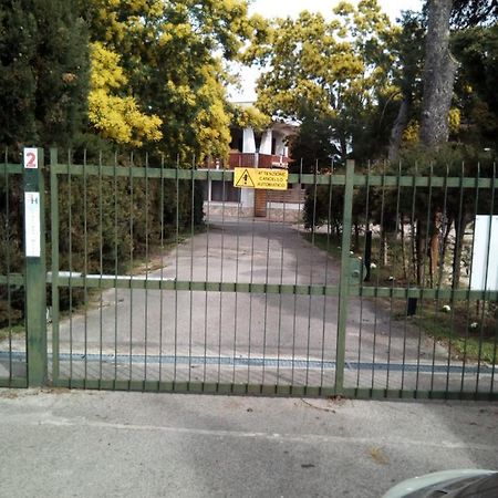 Edvige'S House Villa San Felice Circeo Eksteriør bilde